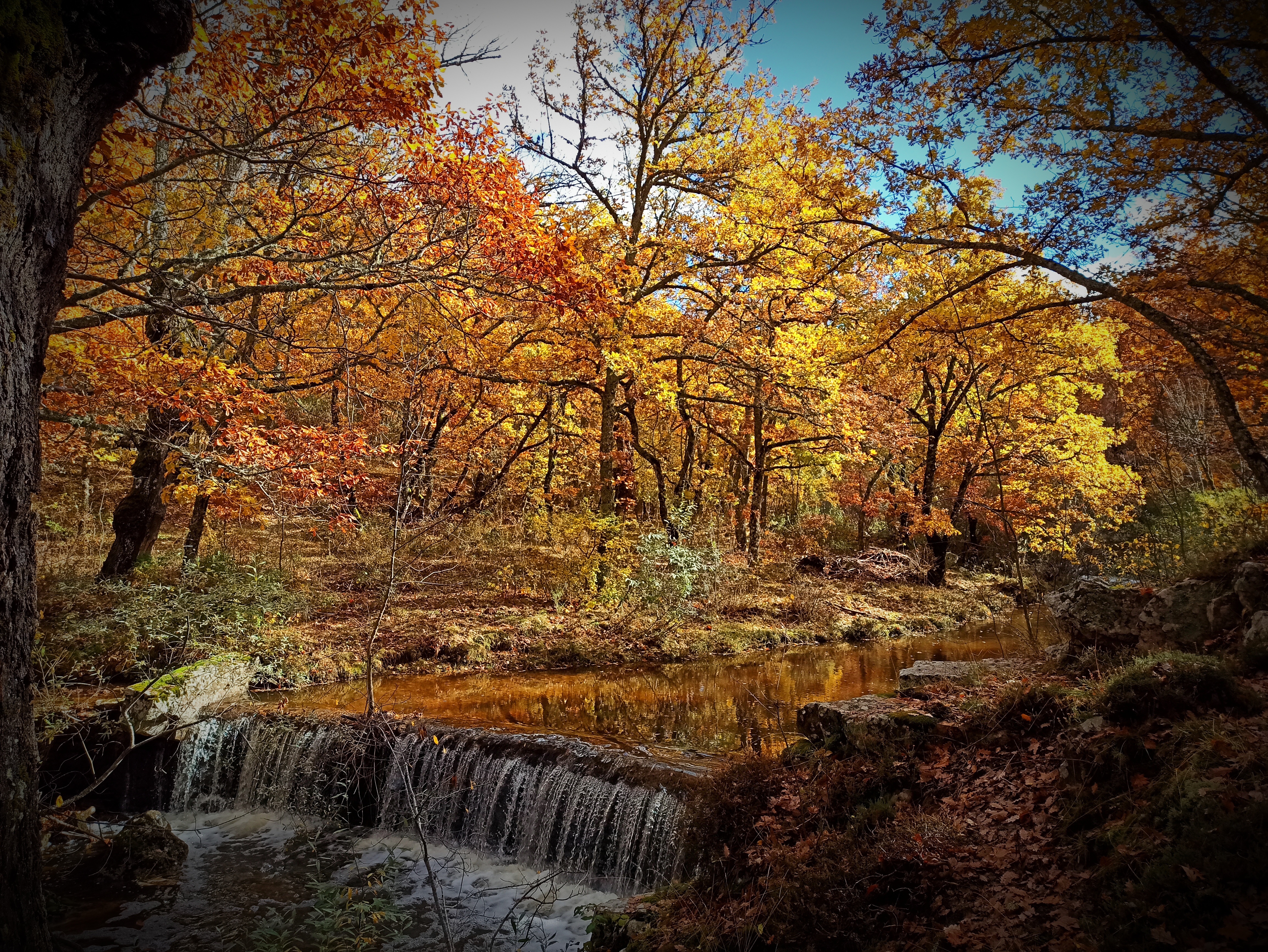 Otoño en Monasterio de la Sierra